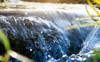Effektive Abwasser­behandlung für eine nachhaltige Zukunft: KENDA Abwassertechnik